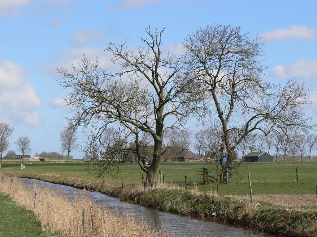 Groningen Buiten B&B Zuidhorn Exterior foto